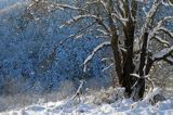 Polana Ostre, Rosochate pod Otrytem, widok z punktu widokowego na Ostrem, Bieszczady