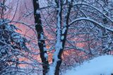 wieczorny pejzaż, Bieszczady