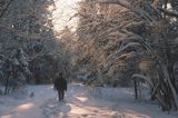 Bieszczady, spacer po zimowym lesie