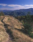 Dwernik Kamień Bieszczady