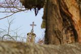 Krzyż w opuszczonym przysiółku Harwaty w Bieszczadach