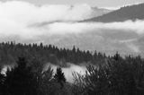 Bieszczadzkie lasy i mgły po burzy