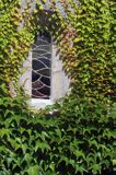 okno kościelne i pnącze w Gudhjem, Bornholm, Dania