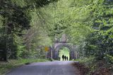 droga do Boyle z bramą, rejon Górnej Shannon, Irlandia