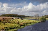 Camlin river, rejon Górnej Shannon, Irlandia
