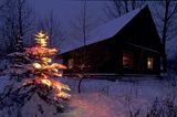 chata i choinka Boże Narodzenie