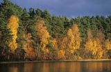 Pojezierze Drawskie jesień nad jeziorem
