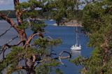 Zatoka Dyviken na wyspie Orno, Szkiery Szwedzkie, Archipelag Sztokholmski, Szwecja