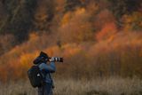 Fotograf, sylwetka, Bieszczady