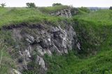 Chotel Czerwony rezerwat stepowy 'Góry Wschodnie' Ponidzie wielkokrystaliczne gipsy