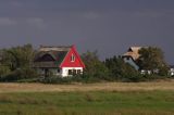 domy na skraju Vitte, wyspa Hiddensee, Mecklenburg-Vorpommern, Bałtyk, Niemcy