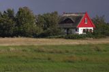 domy na skraju Vitte, wyspa Hiddensee, Mecklenburg-Vorpommern, Bałtyk, Niemcy