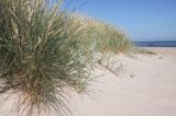 wyspa Hiuma, Hiiumaa, piaszczysta plaża w Lehtma, Estonia Hiiumaa Island, sandy beach near Lehtma, Estonia