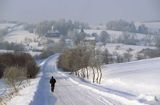 Hoszowczyk, zimowa droga, cerkiew i wieś w tle