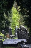 cmentarz w Jamestown nad rzeką Shannon, rejon Górnej Shannon, Irlandia