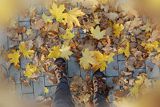 Jesienne liście pod stopami