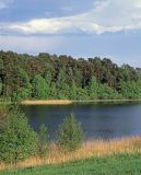 Jezioro Czarne, Bory Tucholskie