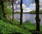 jezioro Dłusko Iński Park Krajobrazowy