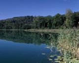 jezioro Jaczno na Suwalszczyźnie, Suwalski Park Krajobrazowy