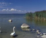 jezioro Śniardwy