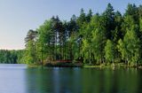 Jezioro Kameń, jezioro lobeliowe, rezerwat przyrody, Kaszuby