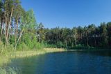 Jezioro Kwisno na Kaszubach