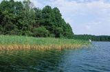Jezioro Łęsk, okolice Szczytna, pojezierze warmińsko-mazurskie, Polska