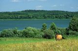 jezioro Małszewskie, Mazury