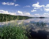 Jezioro Wdzydze, Wdzydzki Park Krajobrazowy