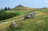 Jura Krakowsko-Częstochowska Park Krajobrazowy Orlich Gniazd