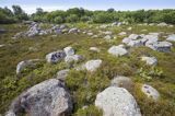 Kręgi kamienne, wyspa Jurmo, szkiery Turku, Finlandia Jurmo Island, Finland