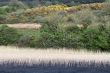 Lough Kilglass, rejon Górnej Shannon, Irlandia