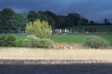 cmentarz nad jeziorem Lough Kilglass, rejon Górnej Shannon, Irlandia