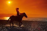 kobieta na koniu na plaży nad Bałtykiem, konno po plaży