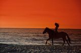 kobieta na koniu na plaży nad Bałtykiem, konno po plaży