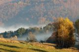 Park Krajobrazowy Doliny Sanu, Bieszczady