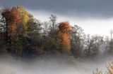 Park Krajobrazowy Doliny Sanu, Bieszczady