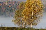 Park Krajobrazowy Doliny Sanu, Bieszczady