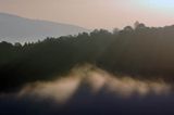 Poranna mgła, Park Krajobrazowy Doliny Sanu, Bieszczady