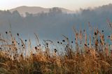 Park Krajobrazowy Doliny Sanu, Bieszczady