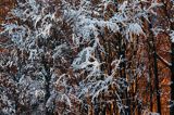 Szadzie, Bieszczady