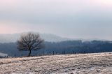 łąki koło Lutowisk, Bieszczady