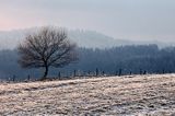 łąki koło Lutowisk, Bieszczady