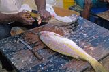 Oprawianie ryby, Małe Antyle, Karaiby, targ w Marigot na St. Martin