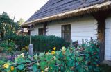 Markowa skansen, chata kmieca, / okolice Przeworska/ Muzeum Wsi Markowa, Rzeszowszczyzna, Podkarpacie, Kotlina Sandomierska