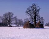 Mazowsze, kopki siana, Mazowiecki Park Krajobrazowy