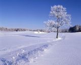 Mazury Garbate