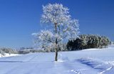 Mazury Garbate zima