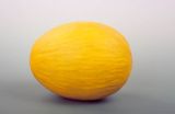 melon żółty, Cucumis melo, Ogórek melon, melon, z greckiego melopepon