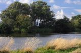 rzeka Minija dopływ rzeki Niemen, Park Regionalny Delty Niemna, Litwa